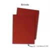 Kit Pintura Parede Completo Sem Respingo 7 Peças + 5 Lixas